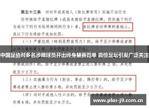 中国足协对多名涉赌球员开出终身禁赛罚单 震惊足坛引发广泛关注 中国足协对多名涉赌球员开出终身禁赛罚单 震惊足坛引发广泛关注